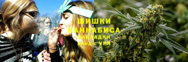 PSILOCYBIN Богородицк