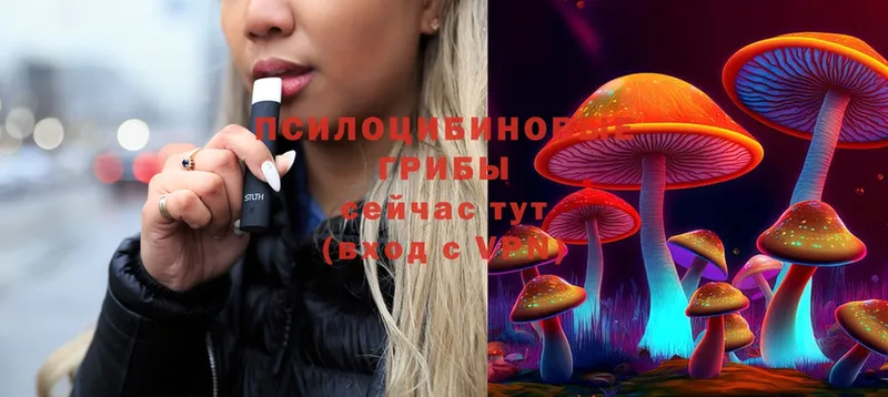 сколько стоит  Муром  Галлюциногенные грибы MAGIC MUSHROOMS 